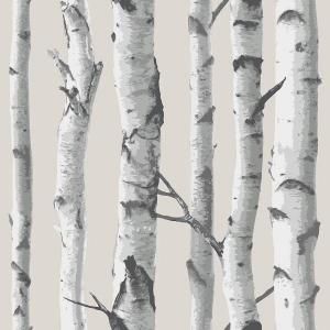 NuWallpaper Multi Color Birch Tree Wallpaper NU1650 at The Home Depot - Mobile Tree Peel And Stick Wallpaper, 자작나무 그림, Birch Tree Wallpaper, White Birch Trees, Birch Trees, 수채화 그림, Wood Wallpaper, Tree Wallpaper, Tree Forest