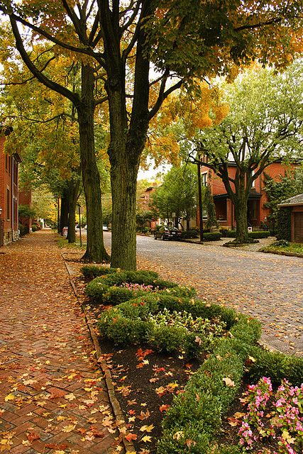 #CRP394  Like all streets in German Village, they are 'meticulously maintained front yards, front tree-lined streets with brick sidewalks and cultivated village planters." Tree Lined Street Aesthetic, Street Landscape Design, Outside Fall Decorations Front Yards, Street With Trees, Outside Fall Decorations, Brick Street, Brick Sidewalk, Tree Lined Street, Street Landscape