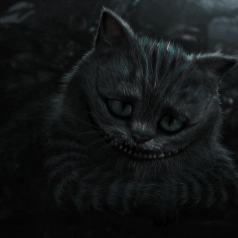 Alice In Wonderland Dark Aesthetic, Dark Alice In Wonderland Aesthetic, Cheshire Cat Aesthetic, Cheshire Aesthetic, Heartless Aesthetic, Cheshire Cat Alice In Wonderland, Dark Alice In Wonderland, Tim Burton Characters, Alice In Wonderland Aesthetic