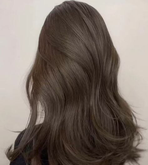 Brunnet Hair Ash, Ash Mocha Brown Hair, Ash Brown Full Hair Color, Cool Mushroom Brown Hair, Mute Brown Hair Color, Med Ash Brown Hair, Ash Brown Hair Cool Tone, Cool Dark Ash Brown Hair, Cool Toned Ash Brown Hair