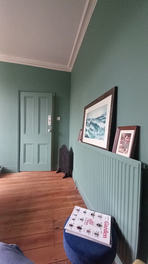 Art-work, natural wood flooring, b&q kentucky colour walls, blended wood work and rad matching. Radiator Painted Same Colour As Wall, Painted Radiator, Green Dining Room, Painted Bathroom, Paint Matching, Skirting Boards, Bohemian Interior, Half Bath, House Renovation