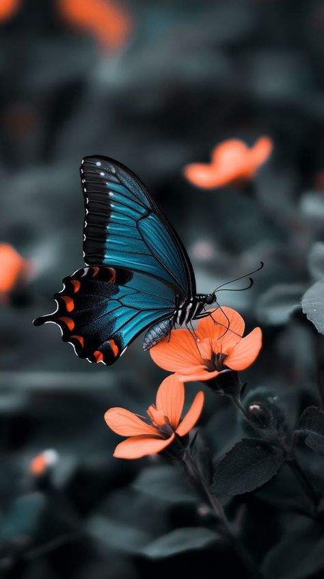 Prompt 👉a black and white photo of a blue butterfly, a black and white photo, by Jacob Kainen, pexels, art photography, orange and teal color, beautiful scene, with beautiful colors, cyan and green, hd phone wallpaper, red selective coloring, beautiful dreamy breathtaking, scene beautiful, resting, flowers, beautiful angle, teal aesthetic, beautiful wallpaper, uploaded 👉 if Like, please Follow and Share AI Graphics Studio 👇Contact on WhatsAPP: http://tiny.cc/aigraphicsstudio #aigraphicsstud... Aesthetic Beautiful Wallpaper, Phone Wallpaper Red, Teal Aesthetic, Butterfly On Flower, Beautiful Butterfly Pictures, Goth Wallpaper, Phone Wallpaper Pink, Wallpaper Red, Butterfly Wallpaper Iphone