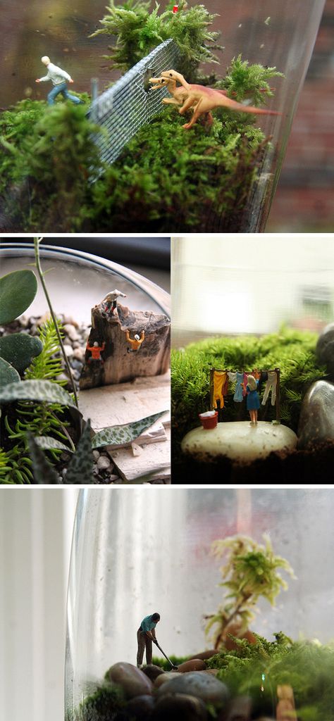 Dinosaur Garden, Miniature Terrarium, Terrarium Diy, Indoor Gardens, Garden Terrarium, Terrarium Plants, Terraria, Succulent Terrarium, Vivarium