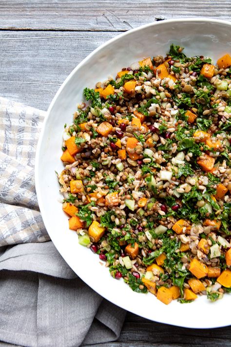 Lentil & Farro Salad With Butternut Squash & Kale | Italian Food Forever Lentil Butternut Squash Salad, Farro Lentil Salad, Italian Farro Salad, Lentil Salads, Salad With Butternut Squash, Lentils And Sausage, College Meal, Butternut Squash Kale, Veggie Mains