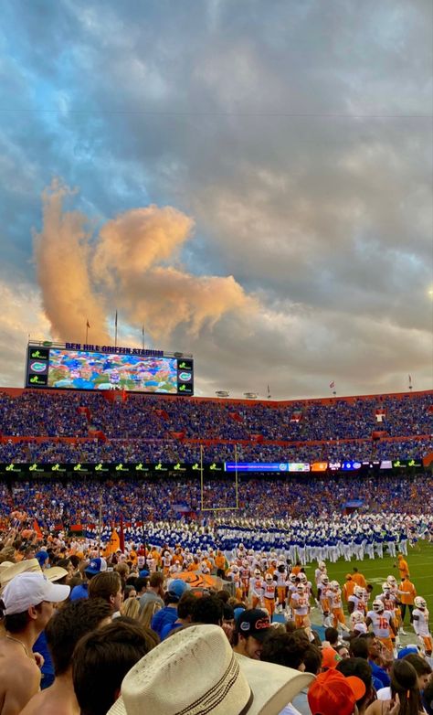 Football Game Aesthetic College, Florida Gators Aesthetic, Uf College Aesthetic, Gainesville Florida Aesthetic, Florida University Aesthetic, Miami College Aesthetic, College In Florida Aesthetic, College In Florida, Florida College Aesthetic