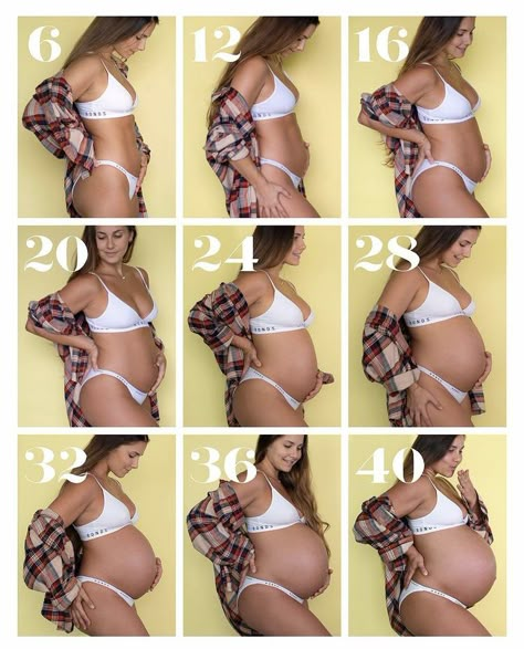 Monthly Pregnancy Pictures, Monthly Pregnancy Photos, 7 Months Pregnant Belly, Pregnant Belly Photography, Baby Bump Progression, First Pregnancy Announcements, Baby Bump Pictures, Pregnancy Belly Photos, Cute Pregnancy Pictures