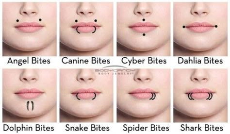 Other Lip Piercings Spiderbite Piercings, Angel Bites, Piercing Bump, Piercings Bonitos, Piercing Bouche, Mouth Piercings, Spider Bite Piercing, Types Of Facials, Surface Piercing