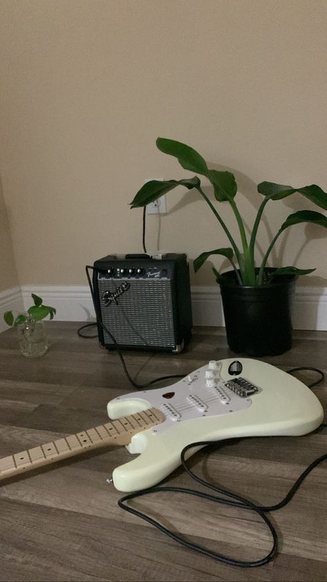 white stratocaster guitar with amp and plants Guitar Aesthetic Electric, Aesthetic Electric Guitar, White Stratocaster, White Electric Guitar, Guitar Aesthetic, White Guitar, Black And Blue Wallpaper, Guitar Fender, Stratocaster Guitar