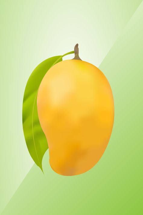 Hey guys check the awesome vector Design. This is very simple Mango design. Did you need this design? let me know in the comments section below Design by https://www.behance.net/tajbiriban #vectorart #vectorIllustration #vectordesign  #Vectorgraphics #vectorartist #vector #vectorartwork #vectors #vectordrawing #vectormurah #vectorportrait #vectorface #vectorimage #vectorstick #vectoricon #vectorworks #vectorarts #vectorillustrator #Vectorize #vectorpainting #mango #mangovector #yellowmango Mango Wallpaper, Mango Vector, Yellow Mango, Mango Yellow, Fresh Image, Lion Tattoo, Graphics Designer, Beauty Store, Editorial Illustration