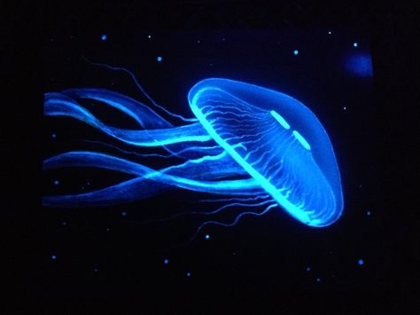 Paint A Glow In The Dark Jellyfish (Step By Step Guide With Pictures!) Painting With Dark Colors, Glowing Painting, Glow In Dark Painting, Glow In The Dark Painting, Glow Painting, Bioluminescence Painting, Glow In The Dark Art, Glow Art, Glow In The Dark Mural