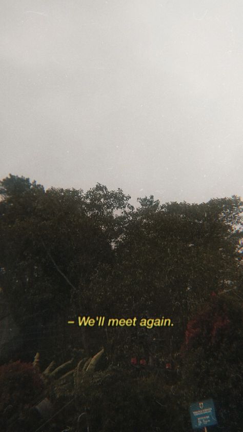 We Cant Be Together Aesthetic, We’ll Meet Again Dont Know Where Dont Know When, Hope We Meet Again Quotes, Will We Ever Learn We've Been Here Before, I Hope We Meet Again Quotes, We’ll Meet Again, Maybe We'll Meet Again Quotes, See You Again Quotes, Texting Aesthetic Phone