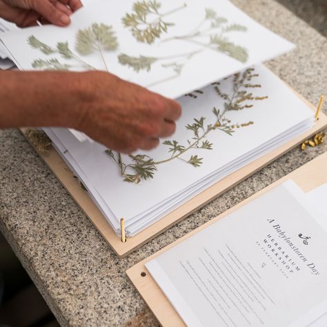 Diy Herbarium Book, Plant Pressing, Herbarium Diy, Drying Plants, Flower Press Book, Plant Press, Nature Therapy, Flower Pressing, Identify Plant