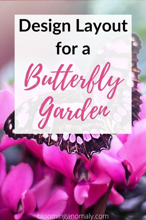 Hummingbird Garden Plan, Butterfly Garden Layout, Pollinator Habitat, Flowers For Butterflies, Garden 101, Pollinator Garden Design, Flowers That Attract Butterflies, Monarch Butterfly Garden, Butterfly Garden Plants