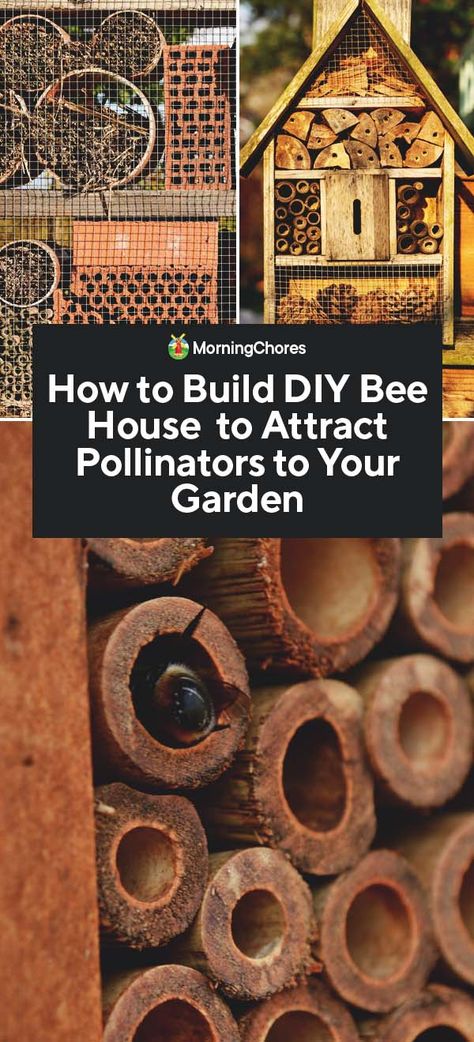 How to Build DIY Bee House to Attract Pollinators to Your Garden Diy Bee House, Diy Bee, Mason Bee House, Bee Houses, Wood Bees, Bee Hotel, Solitary Bees, Mason Bees, Carpenter Bee