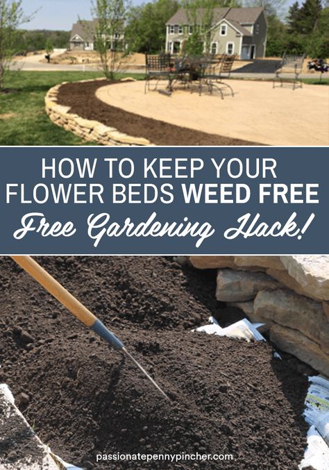 Are you getting Spring fever and ready to mulching your flower beds? Here's an easy trick for how to keep weeds out of flower beds and it likely won't cost you a penny. Before mulching, go ahead and remove weeds that are in your flowerbed by weeding by hand. Then you'll want to lay down leftover newspaper over any open space areas where you want to keep your flower beds weed free. Raising Flower Beds, Backyard Flowerbed Ideas, Home Flower Beds Front Yards, Flower Beds By Driveway, Flower Bed In Middle Of Yard, Flower Bed Makeover On A Budget, Flower Bed Lights, Property Line Flower Bed, How To Keep Weeds Out Of Landscaping