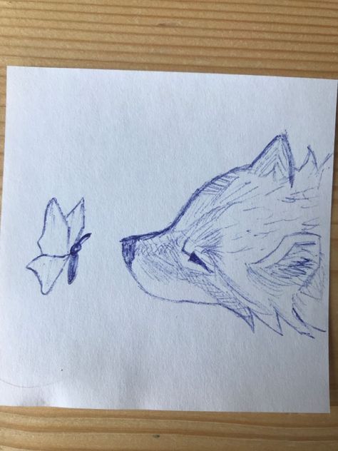 Fox And Butterfly Drawing, Wolf Cute Drawing, Wolf With Butterfly, Simple Wolf Drawing, How To Draw A Wolf, Wolf Easy Drawing, Wolf And Butterfly, Butterfly Drawing Sketches, Wolf Drawing Sketch