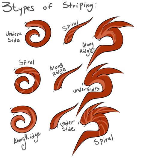 Horn Ideas Drawing, Dragon Horns Reference, Demon Tail Designs, Horn Reference, Types Of Horns, Anime Horns, Horn Styles, Horns Drawing References, Dragon Lineart