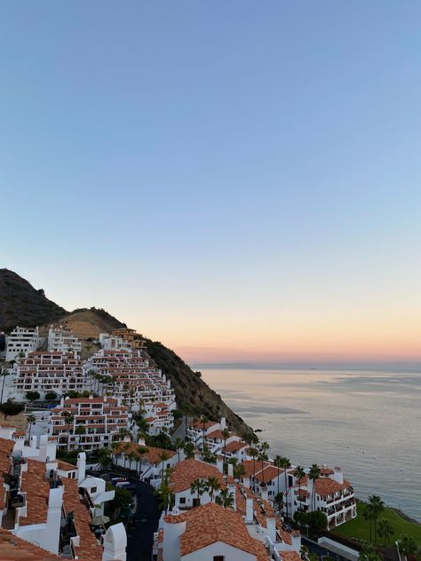 #catalina #catalinaisland #avalon #sunset Catalina Island Aesthetic, Catalina Core, Catalina Island Outfit, Catalina California, Avalon Catalina Island, Island Birthday, Catalina Island California, Mexico Pictures, California Pictures