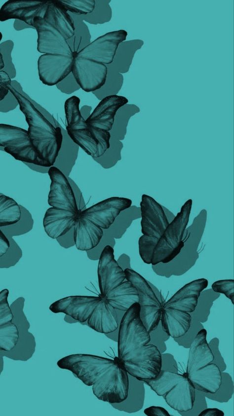 Teal Wallpaper Iphone Aesthetic, Turquesa Aesthetic, Lexy Cross, Teal Wallpaper Iphone, Aesthetic Butterfly, Wallpaper Iphone Aesthetic, Teal Wallpaper, Iphone Aesthetic, Green Butterfly