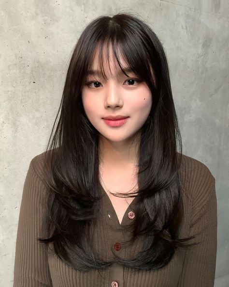 Twist Felco Haircut Straight, Korean Bangs And Layers, Korean Midlength Hairstyle Women, Korean Layers With Bangs, Korean Soft Bangs, Bangs For Asian Hair, Korean Haircuts For Long Hair, Korean Medium Length Hair, Kpop Curtain Bangs