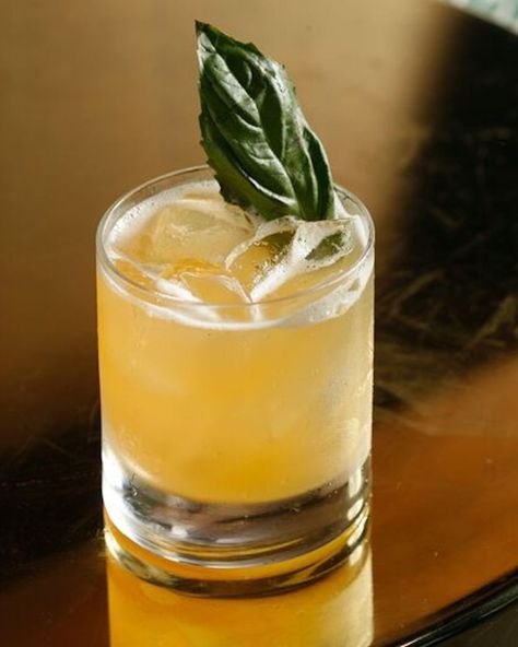 Drink, Sour, Alcoholic beverage, Distilled beverage, Food, Whiskey sour, Cocktail, Classic cocktail, Mai tai, Beer cocktail, Ginger Beer Drinks, Reyka Vodka, Ginger Beer Recipe, Beer Cocktail Recipes, Ginger Beer Cocktail, Pomegranate Liqueur, Beer Cocktail, Sour Cocktail, Bar Essentials