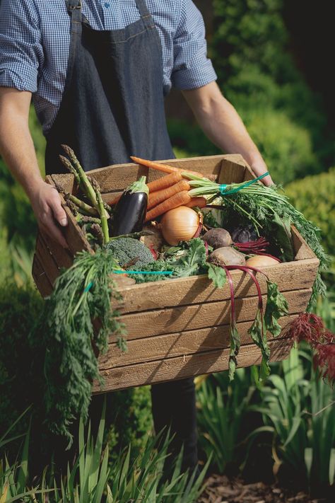 The Clive Arms - The Walled Garden Farm Product Photography, Chef Branding, Sustainable Branding, Fall Moodboard, Crop Farming, Indoor Farming, From Farm To Table, Vegetable Farming, Farm Lifestyle