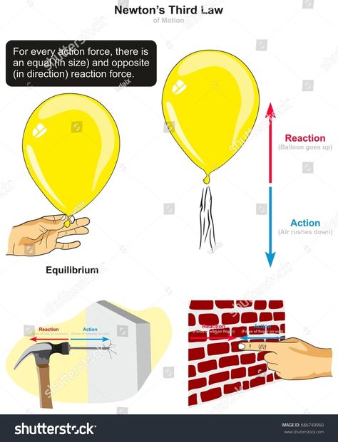 Newton's Third Law Of Motion, Motion Infographic, Newtons Third Law Of Motion, Infographic Diagram, Newton's Third Law, Newtons Laws Of Motion, Physics Classroom, Newtons Laws, English Language Arts High School