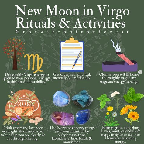 The upcoming New Moon on the 14th, often referred to as the Corn Moon, falls in the sign of Virgo. New moons typically signify fresh starts, new beginnings, and a time for setting intentions. However, the presence of six planets in retrograde significantly influences this New Moon, adding an extra layer of challenge when it comes to setting these intentions. Planets In Retrograde, Virgo New Moon, New Moon In Virgo, September Virgo, Corn Moon, Calendula Tea, Moon In Virgo, Moon Date, Setting Intentions