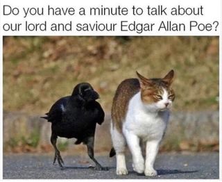 Found on iFunny Cute Cat Memes, Animal Humour, Nerd Humor, Edgar Allan, Silly Animals, Funny Cat Memes, Edgar Allan Poe, Our Lord, Hysterically Funny