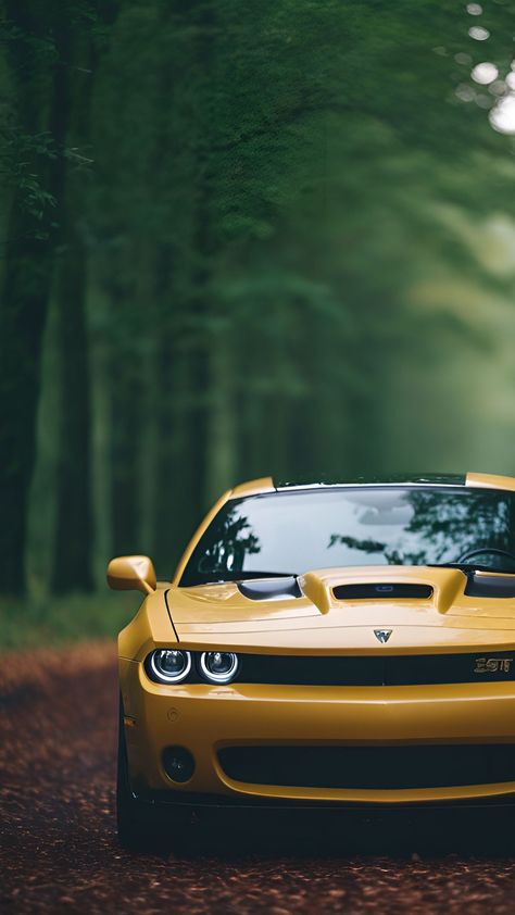 Dodge Challenger Yellow, Challenger Car, Car Yellow, Yellow Forest, Forest Road, Dodge Challenger, Car Wallpapers, Super Cars, Cool Cars