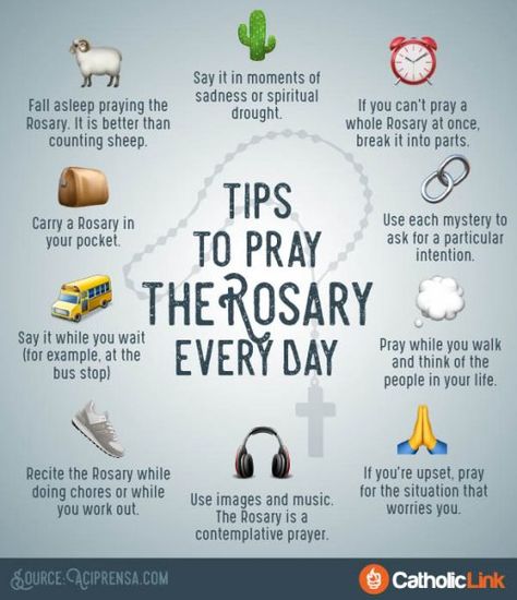 Infographic: Tips To Pray The Rosary Every Day | Catholic-Link Praying Rosary, Praying The Rosary Catholic, Rosary Prayers Catholic, Saying The Rosary, Pray The Rosary, Catholic Beliefs, Soli Deo Gloria, How To Pray, Rosary Prayer