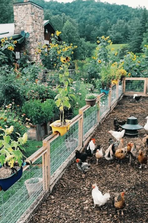 English Country Home, Water Survival, Self Sufficiency, Homestead Farm, Farm Lifestyle, Future Farms, Cottage Farm, Homestead Living, Living Off The Land