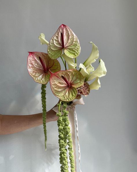 LOLA ROOTS | soft girly pop bouquet 🪷 | Instagram Flower Design Bouquet, Color Blocked Wedding Flowers, Hanging Flowers Bouquet, Original Bouquet Ideas, Contemporary Wedding Bouquet, Small Tropical Flower Arrangements, Unique Floral Bouquets, Trendy Flower Bouquets, Anthurium Flower Bouquet