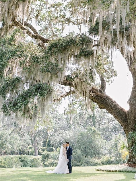 Low Country Wedding Reception, Blue And White Southern Wedding, Coastal Blue Wedding, Wedding Slides, Kiawah Wedding, Low Country Wedding, Palmetto Bluff Wedding, Bluff Wedding, Montage Palmetto Bluff