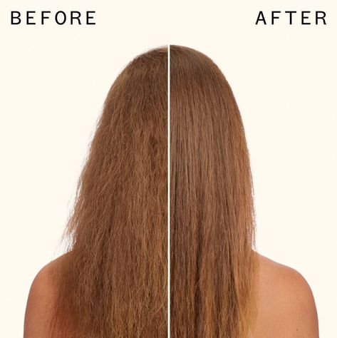 Velveteen Dream, Hair Massage, Frizz Free Hair, Keratin Treatment, Dry Damaged Hair, Brittle Hair, Frizz Free, Treated Hair, Silky Hair