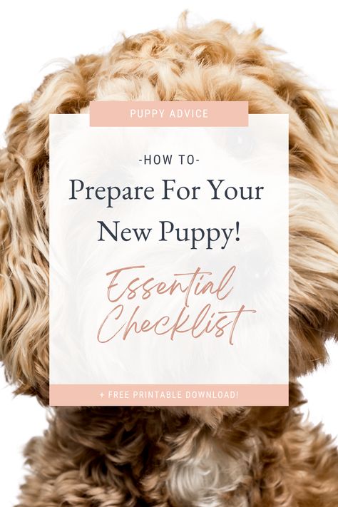 Dog Starter Kit List, Bringing Puppy Home, New Puppy Shopping List, First Time Puppy Owner Checklist, Puppy Needs Checklist, Puppy Supplies List, Prepare For Puppy, Puppy Check List, Puppy Routine