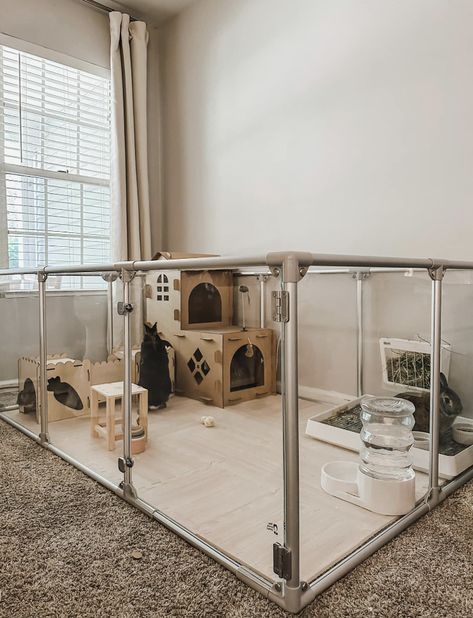 Cute Indoor Rabbit Cage Ideas, Cute Bunny Enclosure Ideas, Rabbit Housing Indoor, Large Rabbit Cage Indoor, Best Indoor Bunny Setup, Bunny Playpen Setup, Cute Bunny Cages Indoor, Bunny Proof Room, Rabbit Incloser Indoors