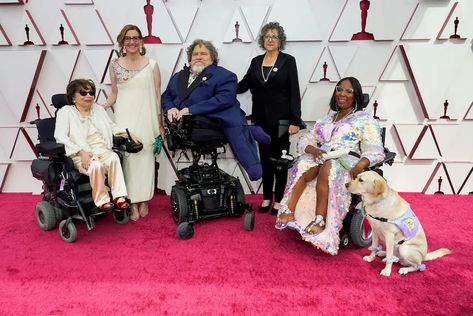 From “Crip Camp” to Trevor Noah, activist Judy Heumann is finally getting introduced to a wider audience. Crip Camp, Judy Heumann, Radical Women, Trevor Noah, Disabled People, Court Judge, The Daily Show, I Call You, Netflix Streaming