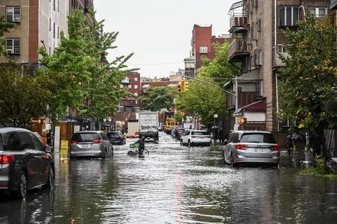 Sponge City, Flash Flood, Urban Heat Island, Sewage System, Rain Garden, Water Bodies, Climate Action, Rural Area, Urban Farming