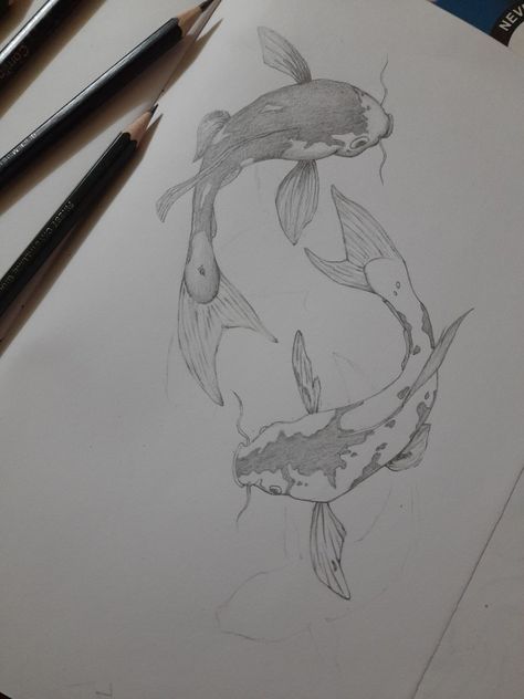 Koi fish Sketch Book Koi Fish, Japanese Coy Fish Drawing, Drawing Coy Fish, Koi Fish Sketches, Kio Fish Drawing, Koi Art Drawing, Coy Fish Drawing Simple, Koy Fish Paintings, Koi Fish Drawing Sketches