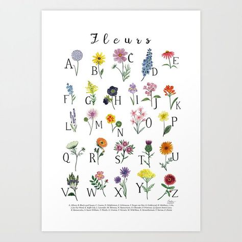 Lindsay Brackeen, Botanical Names, Abc Nursery, Reference Male, Flower Chart, Floral Alphabet, Flower Alphabet, Look Up Quotes, Modern Wall Decor Art