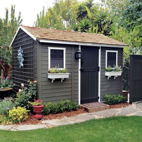 Painted Sheds, Cedar Storage, Shed Exterior Ideas, Painted Garden Sheds, Lady Lounge, Sheds Ideas Backyard, Outside Sheds, Small Garden Shed, Painted Shed