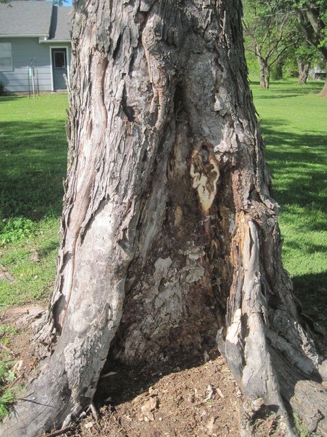 Diy Fairy Door, Fairy Doors On Trees, Fairy Garden Doors, Fairy Tree Houses, Garden Globes, Fairy Garden Crafts, Fairy Tree, Gnome House, Fairy Garden Houses