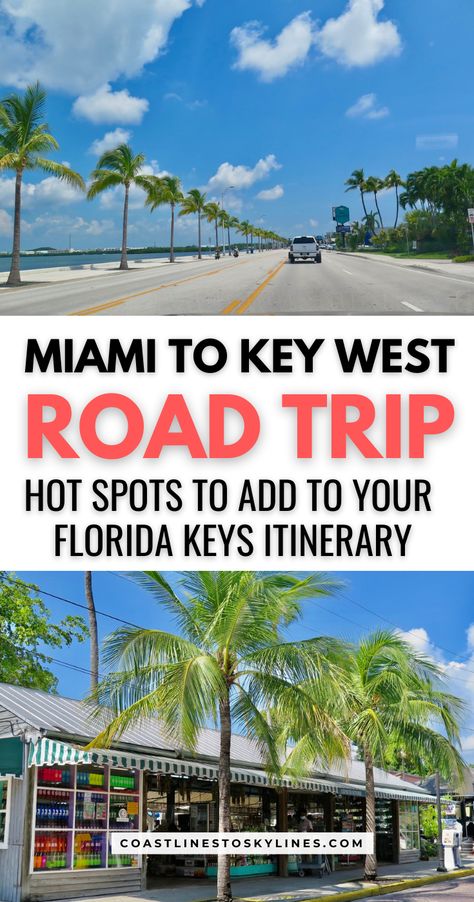 Our Miami to Key West road trip bucket list is packed with places to visit on your road trip to the Florida Keys. Key West Road Trip, West Road Trip, Key West Florida Vacation, Keys Florida, Marathon Key, Miami Key West, Florida Keys Road Trip, Summer Florida, Travel Key West