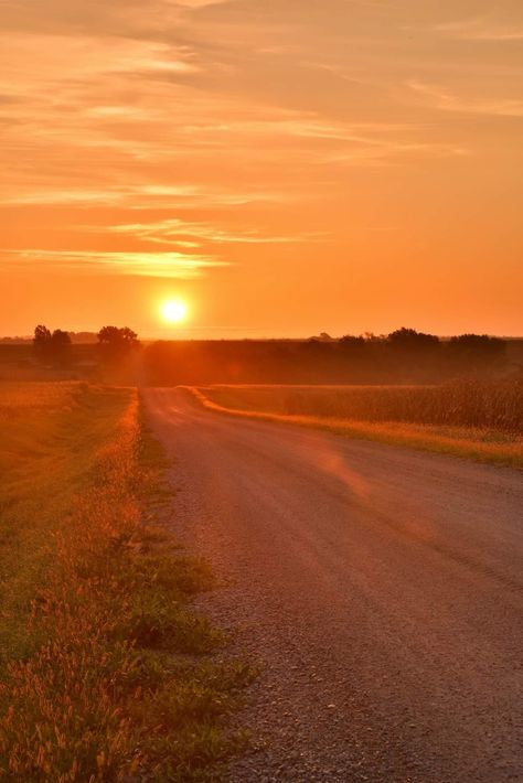 Country Sunset Aesthetic, Sunsets Country, Western Scenery, Sunrise Farm, Southern Aesthetic, Country Sunset, Australia Landscape, Country Backgrounds, Country Photography