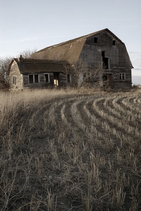 Old Barn Aesthetic, Old Barns Rustic, Old Barn Paintings, Old Barn Restoration, Old Barn House, Barn Aesthetic, Farmhouse Photography, Abandoned Farmhouse, Abandoned Farm