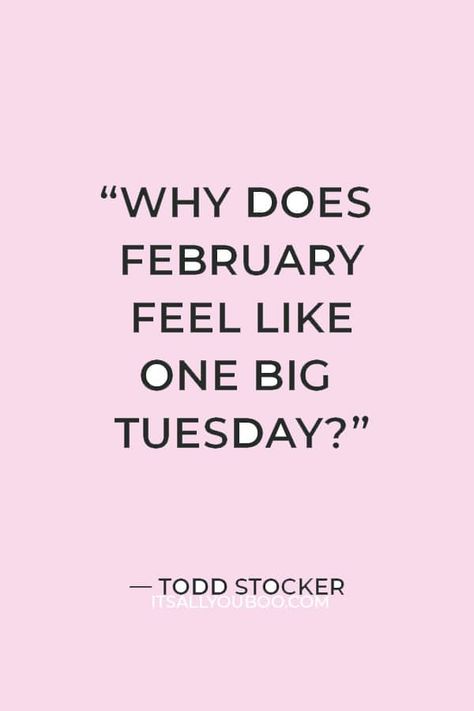 “Why does February feel like one big Tuesday?” ―  Todd Stocker with a pink background Febuary Girl Asthetic, February Humor, February Quotes Funny, February 1st Quotes, February Letterboard, Quotes About February, February Captions, February Aesthetic Month, February Letter Board Quotes