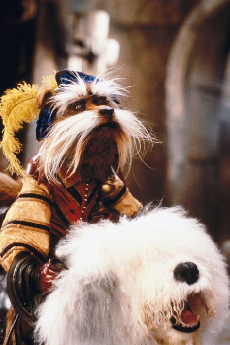 Labrynth Movie Aesthetic, Sir Didymus And Ambrosius, Sir Didymus, Labyrinth Jareth, Jim Henson Labyrinth, David Bowie Labyrinth, Labyrinth Art, Bowie Labyrinth, Labyrinth 1986