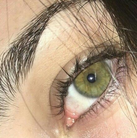 ριntєrєѕt: үαsмιη к. ღ Photo Oeil, Hazel Green Eyes, Iris Eye, Eyes Photo, Beautiful Eyes Color, Hazel Green, Celebrities Tattoos, Green Eye, Outdoors Quotes