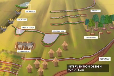 Homestead Layout, Composting Toilets, Farm Plans, Permaculture Gardening, Permaculture Design, Rainwater Harvesting, Sustainable Agriculture, Food Forest, Water Management